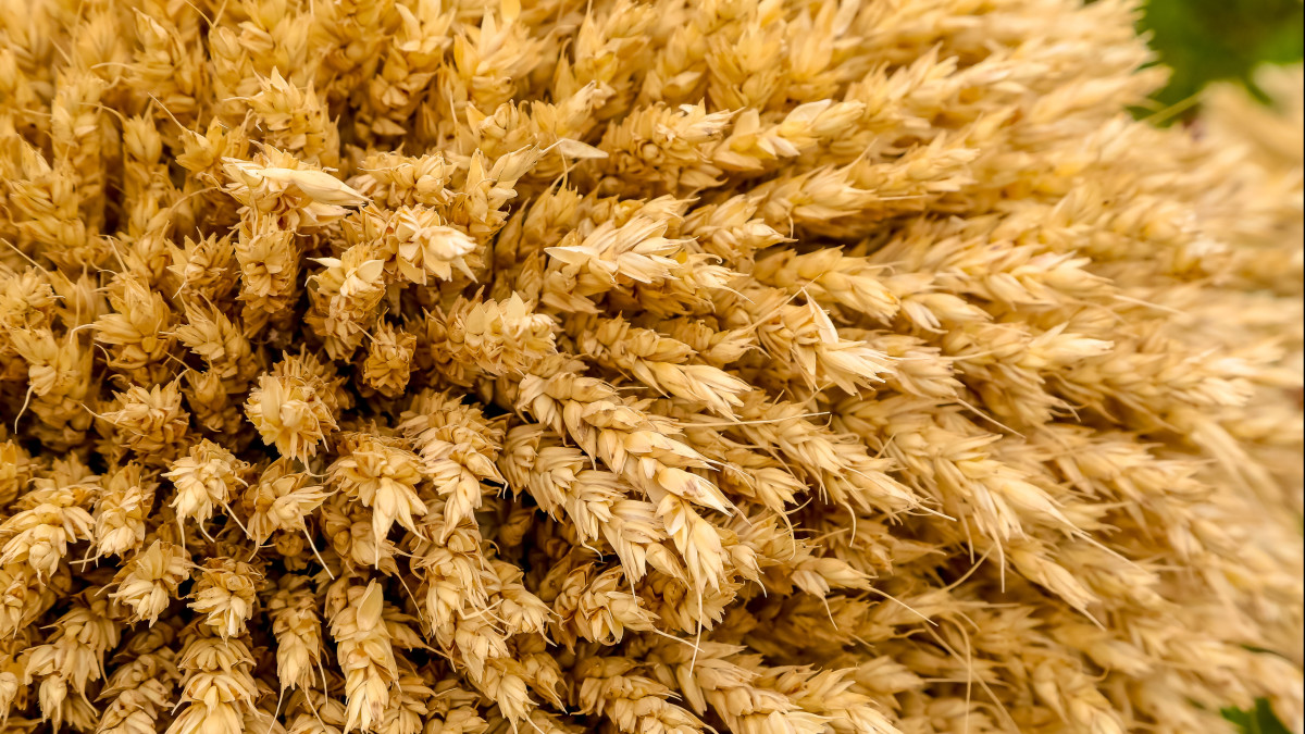  ©El.kz/ Бауыржан ЖУАСБАЕВ 