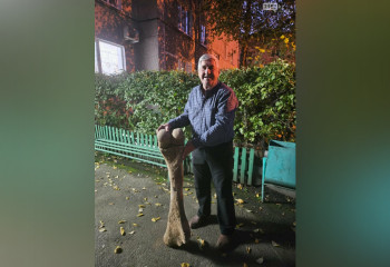 В СКО спасатель нашёл кость доисторического животного