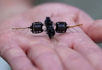 Мини-роботы пчёлы и кузнечики: студенты изобрели помощников будущего для Земли и космоса