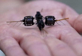 Students develop robotic bee that could pollinate  plants on other planets someday