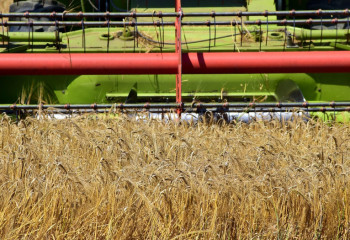 Қазақстанда 11,6 млн тонна астық бастырылды