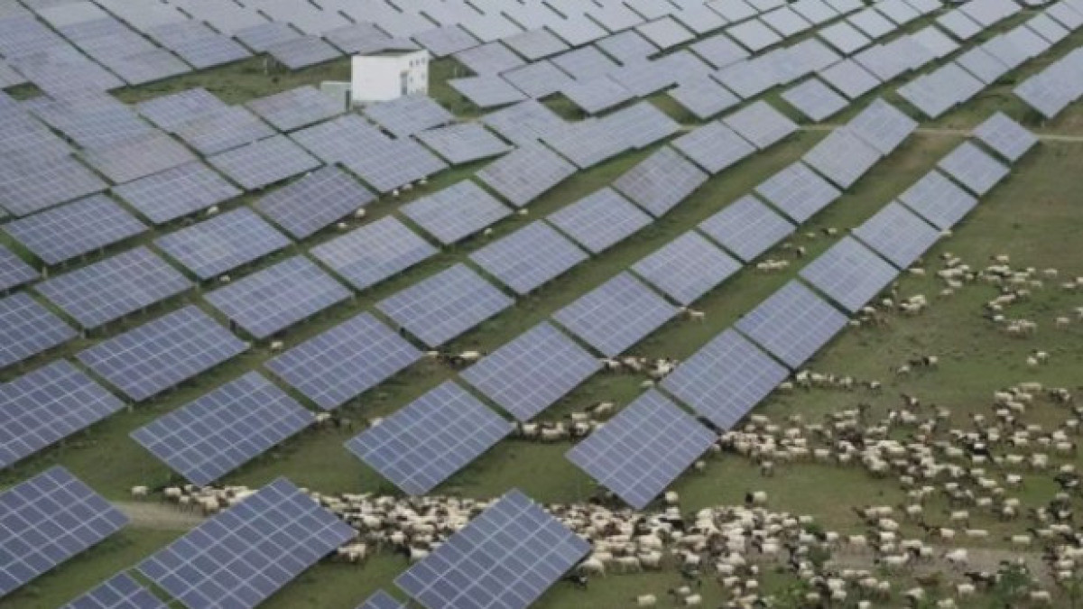  Ng Han Guan / Associated Press 