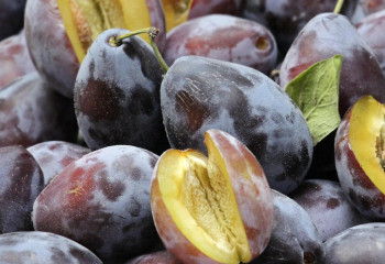 Қара өріктің пайдасы жайлы білесіз бе?