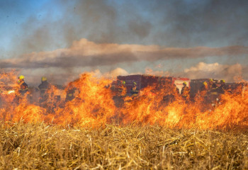 Елімізде өрт қаупі жоғары өңірлер аталды