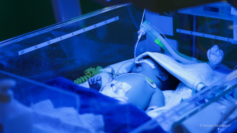  © El.kz / Арман МУХАТОВ 