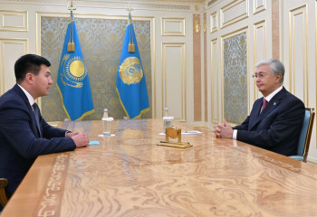 Мемлекет басшысы Қазақстан бокс федерациясының президентін қабылдады