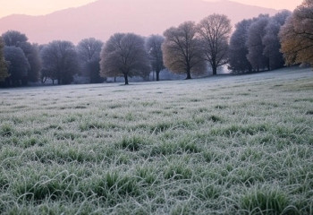 Погода на выходные: в нескольких регионах Казахстана прогнозируют заморозки до -3 градусов