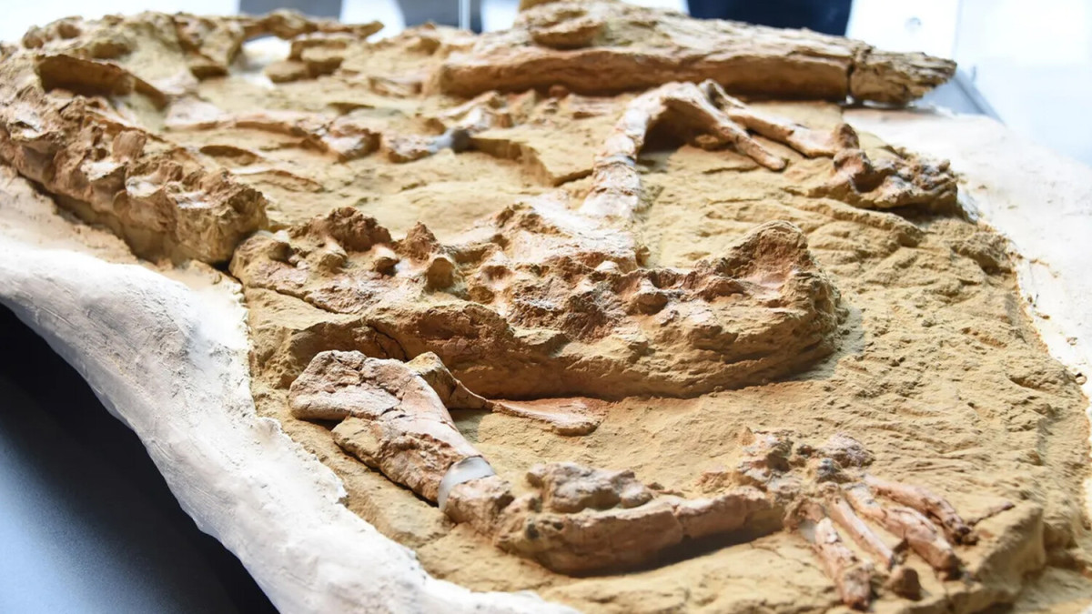  Peruvian State Digital Platform 