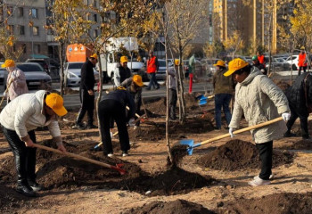 Астанада жалпықалалық ауқымды сенбілік басталды