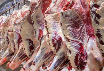 Қазақстанда сиыр еті неге қымбаттады? Министрлік түсіндірді