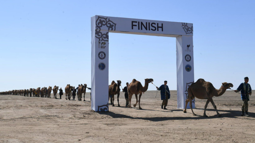  © Пресс-служба акимата Алматинской области 