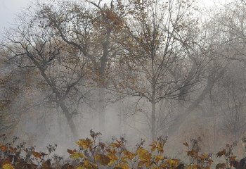 Өрт қаупі, үсік: 21 қыркүйекке арналған ауа райы болжамы