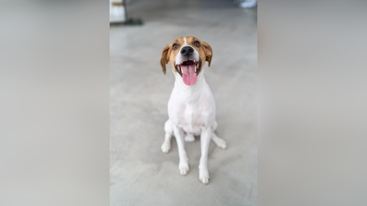  Фото предоставлено Темирланом Тоспаевым 