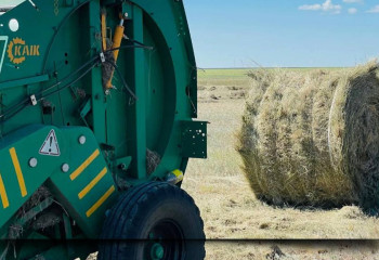 Қазақстанда 31,1 млн тонна мал азығы дайындалды