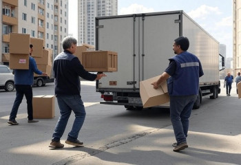 Бизнес-идея: организатор переездов – перспективный старт для малого бизнеса