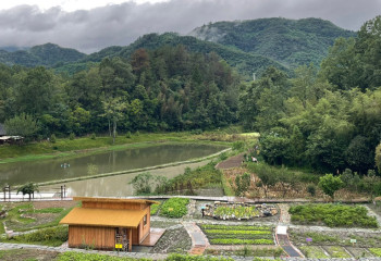 Казахстанскому журналисту показали регион в Китае, где изобрели шелк
