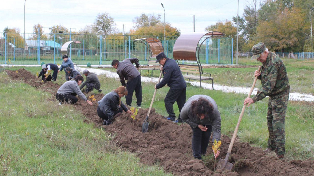  © Пресс-служба акимата области Абай 