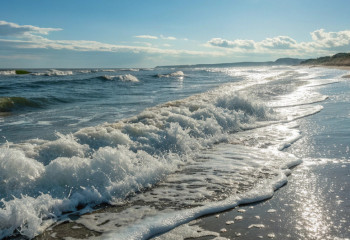 Морская пена на пляжах может быть опасной для здоровья