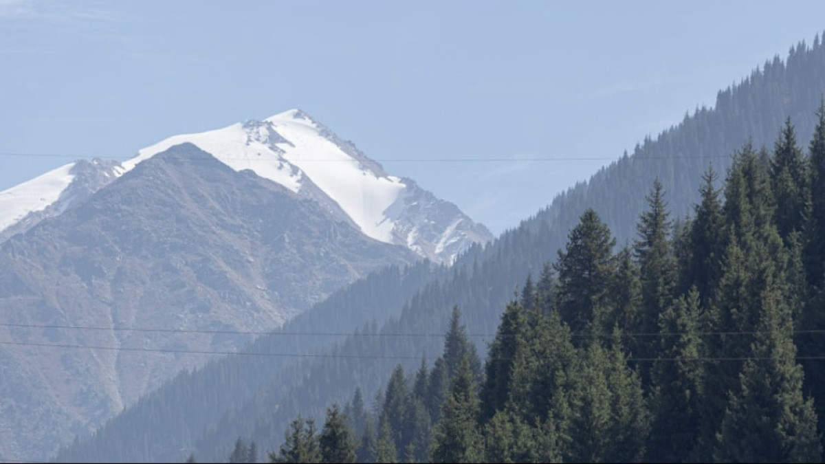  El.kz / Artem Churssinov 