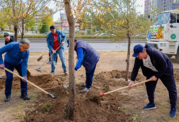 «Таза Қазақстан»:  Еңбек күніне орай ағаш отырғызу акциясы өтті
