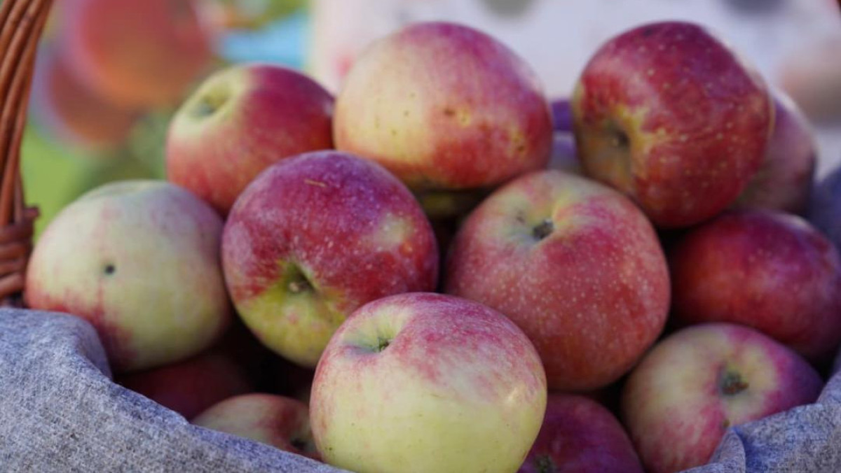  Ауыл шаруашылығы министрлігі 