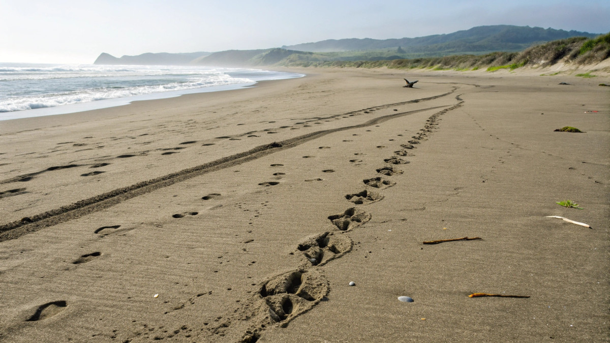  © El.kz / Recraft / Динмухамед БЕЙСЕМБАЕВ 