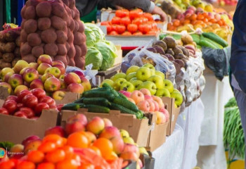 Еліміздегі ауыл шаруашылығының даму бағдары мен экспорт әлеуеті