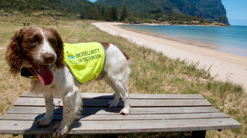  © facebook/NSW Department of Climate Change, Energy, the Environment and Water 