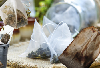 Қалташадағы шайдың табиғатқа зияны қандай? | Экоlife