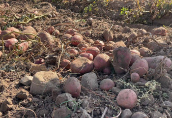 Жамбылдық шаруалар жыл басынан бері 1 млрд текше метрден астам сумен қамтылған