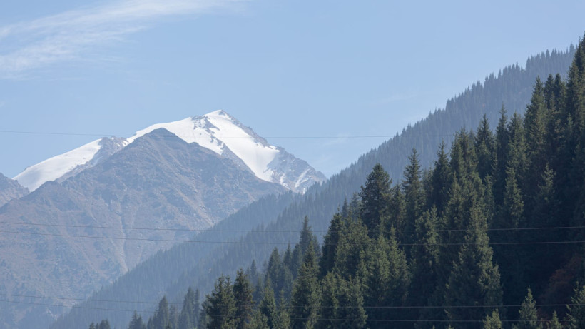  ©El.kz/ Артем ЧУРСИНОВ 