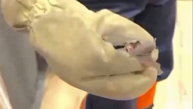  Бейнежазбадан скриншот 