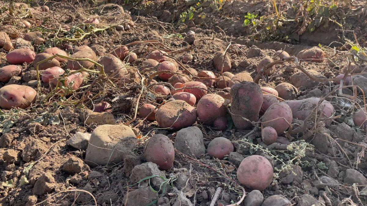  Су ресурстары және ирригация министрлігінің баспасөз қызметі 