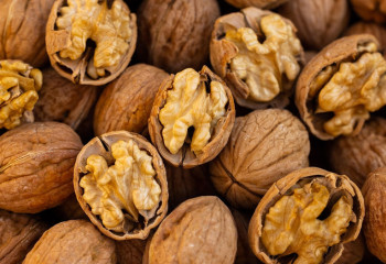 Мамандар күзде жаңғақ жеудің пайдасын айтты