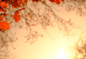 Үсік, жел, өрт қаупі: 4 қазанға арналған ауа райы болжамы