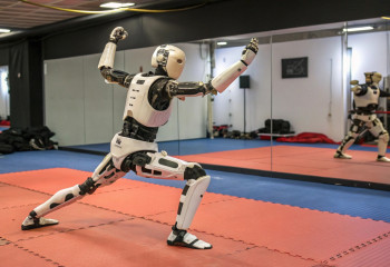 Илон Маск показал, как робот Tesla Optimus тренируется кунг-фу