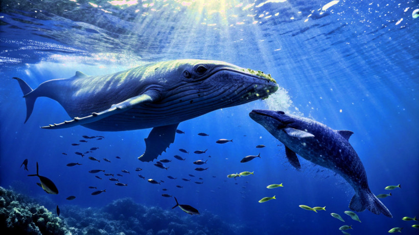  © El.kz / Recraft / Динмухамед БЕЙСЕМБАЕВ 