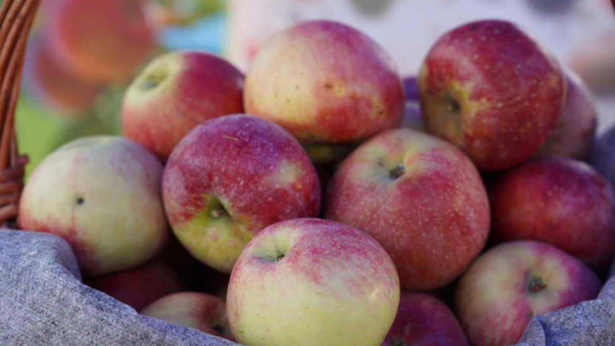  Ауыл шаруашылығы министрлігі 