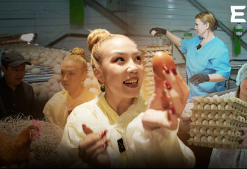 Тауықтардың да өз режимі бар