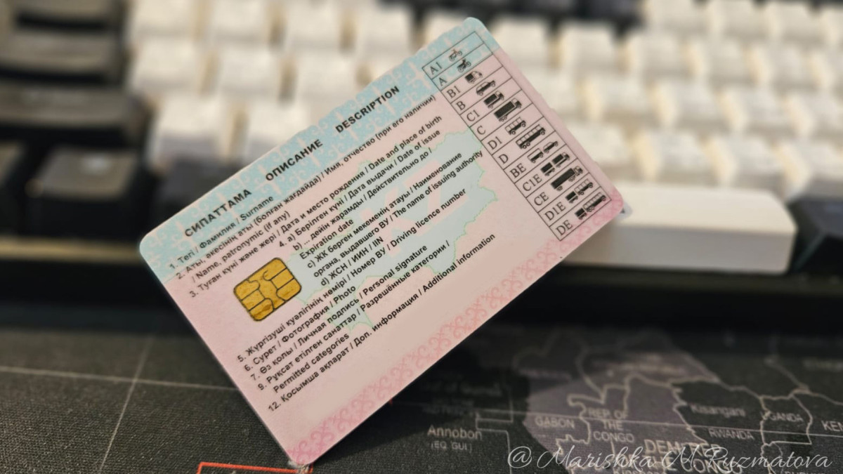 Как быстро заменить права через eGov Mobile: инструкция и стоимость