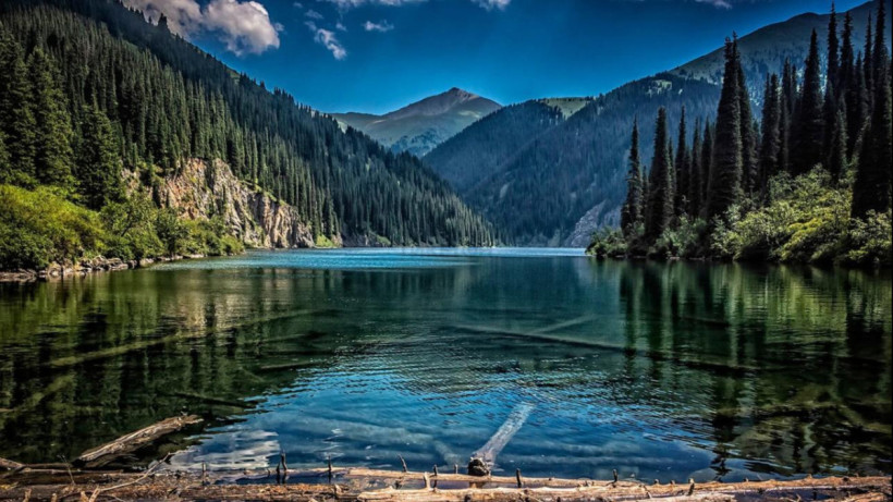  Алматы облысының әкімдігі 