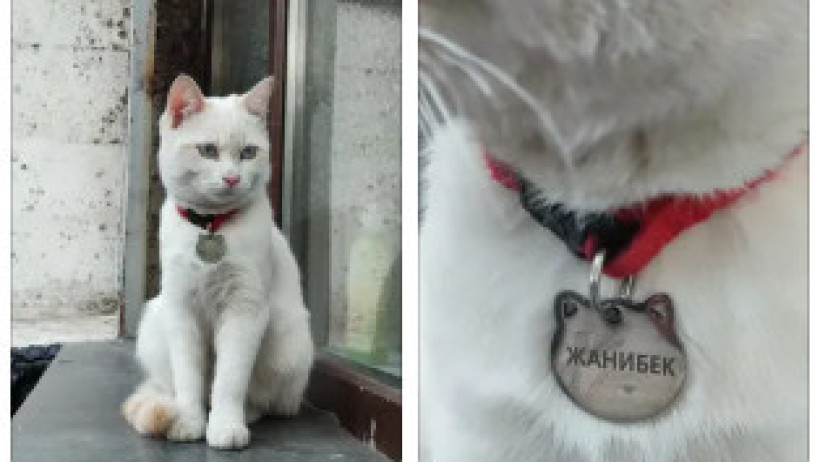  kemalovdaulet_na / Threads 