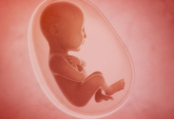 Шет тілін үйренуді дүниеге келмей жатып бастауға болады – нейропсихологтар