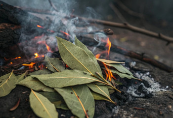 Как освежить дом без химии: простой способ из прошлого