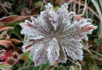 Шаңды дауыл, үсік: 10 қазанда ауа райы қандай болады