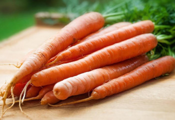 Невролог миға пайдалы бес өнімді атады