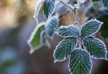 11 қазанға арналған ауа райы болжамы