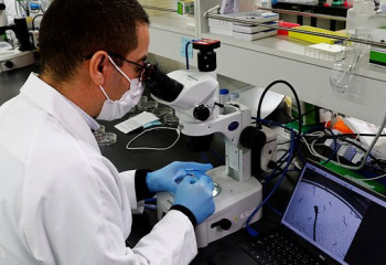 Қатерлі ісікке қарсы иммундық жүйені күшейтетін дәрі жасалды