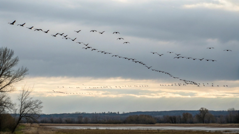  © El.kz / Recraft / Динмухамед БЕЙСЕМБАЕВ 