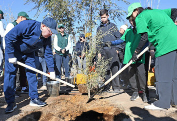 Алматы облысында 1243 гектар аумақ тазартылды